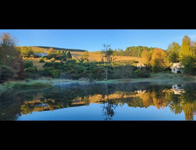 FARM FOR SALE IN DARGLE